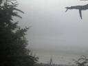 ./images/calvert/beach/20210729/beach20210729_213503.jpg