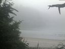 ./images/calvert/beach/20210730/beach20210730_061003.jpg