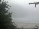 ./images/calvert/beach/20210730/beach20210730_061503.jpg