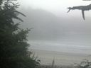 ./images/calvert/beach/20210730/beach20210730_062502.jpg