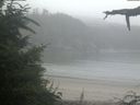 ./images/calvert/beach/20210730/beach20210730_063502.jpg