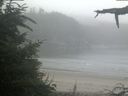 ./images/calvert/beach/20210730/beach20210730_064502.jpg
