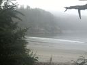 ./images/calvert/beach/20210730/beach20210730_074002.jpg
