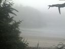 ./images/calvert/beach/20210730/beach20210730_074502.jpg
