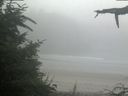 ./images/calvert/beach/20210730/beach20210730_075002.jpg