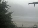 ./images/calvert/beach/20210730/beach20210730_075503.jpg