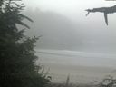 ./images/calvert/beach/20210730/beach20210730_080002.jpg