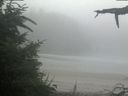 ./images/calvert/beach/20210730/beach20210730_080502.jpg