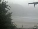 ./images/calvert/beach/20210730/beach20210730_081002.jpg