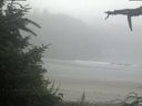./images/calvert/beach/20210730/beach20210730_081503.jpg