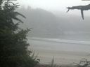 ./images/calvert/beach/20210730/beach20210730_082003.jpg