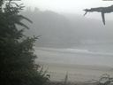 ./images/calvert/beach/20210730/beach20210730_082503.jpg