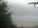 ./images/calvert/beach/20210730/beach20210730_083502.jpg
