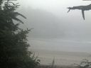 ./images/calvert/beach/20210730/beach20210730_084003.jpg