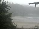 ./images/calvert/beach/20210730/beach20210730_085002.jpg