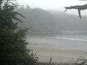 ./images/calvert/beach/20210730/beach20210730_085503.jpg