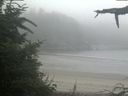 ./images/calvert/beach/20210730/beach20210730_090502.jpg