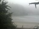 ./images/calvert/beach/20210730/beach20210730_091001.jpg