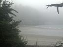 ./images/calvert/beach/20210730/beach20210730_091502.jpg