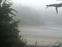 ./images/calvert/beach/20210730/beach20210730_092001.jpg