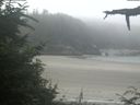 ./images/calvert/beach/20210730/beach20210730_115502.jpg