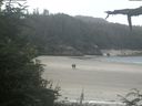 ./images/calvert/beach/20210730/beach20210730_120502.jpg