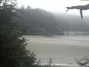 ./images/calvert/beach/20210730/beach20210730_123502.jpg