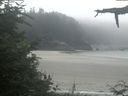 ./images/calvert/beach/20210730/beach20210730_132002.jpg