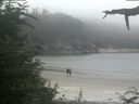 ./images/calvert/beach/20210730/beach20210730_161003.jpg