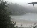 ./images/calvert/beach/20210730/beach20210730_162003.jpg