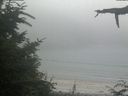 ./images/calvert/beach/20210730/beach20210730_174002.jpg
