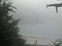 ./images/calvert/beach/20210730/beach20210730_175002.jpg