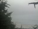 ./images/calvert/beach/20210730/beach20210730_180003.jpg