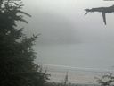 ./images/calvert/beach/20210730/beach20210730_181503.jpg