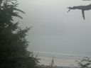 ./images/calvert/beach/20210730/beach20210730_182001.jpg