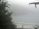 ./images/calvert/beach/20210730/beach20210730_182501.jpg