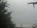 ./images/calvert/beach/20210730/beach20210730_183501.jpg