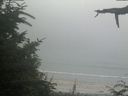 ./images/calvert/beach/20210730/beach20210730_184502.jpg