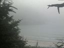 ./images/calvert/beach/20210730/beach20210730_185001.jpg