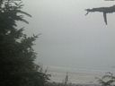 ./images/calvert/beach/20210730/beach20210730_185501.jpg