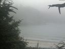 ./images/calvert/beach/20210730/beach20210730_191003.jpg