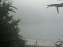 ./images/calvert/beach/20210730/beach20210730_192002.jpg