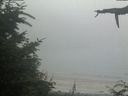 ./images/calvert/beach/20210730/beach20210730_193503.jpg