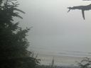 ./images/calvert/beach/20210730/beach20210730_194002.jpg
