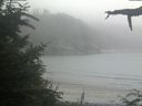 ./images/calvert/beach/20210730/beach20210730_194503.jpg