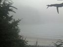 ./images/calvert/beach/20210730/beach20210730_195002.jpg