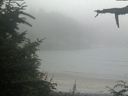 ./images/calvert/beach/20210730/beach20210730_195502.jpg