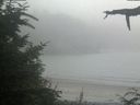 ./images/calvert/beach/20210730/beach20210730_200503.jpg
