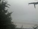 ./images/calvert/beach/20210730/beach20210730_201503.jpg