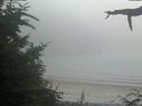 ./images/calvert/beach/20210730/beach20210730_202001.jpg